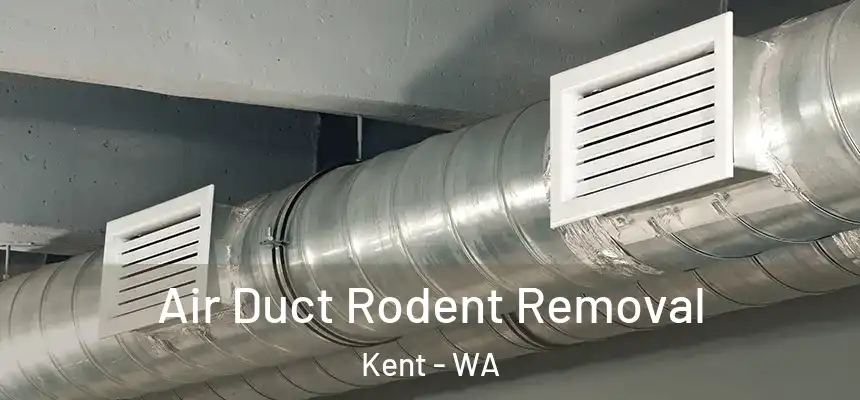 Air Duct Rodent Removal Kent - WA