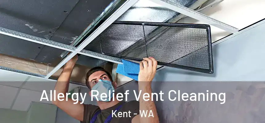  Allergy Relief Vent Cleaning Kent - WA