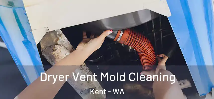 Dryer Vent Mold Cleaning Kent - WA