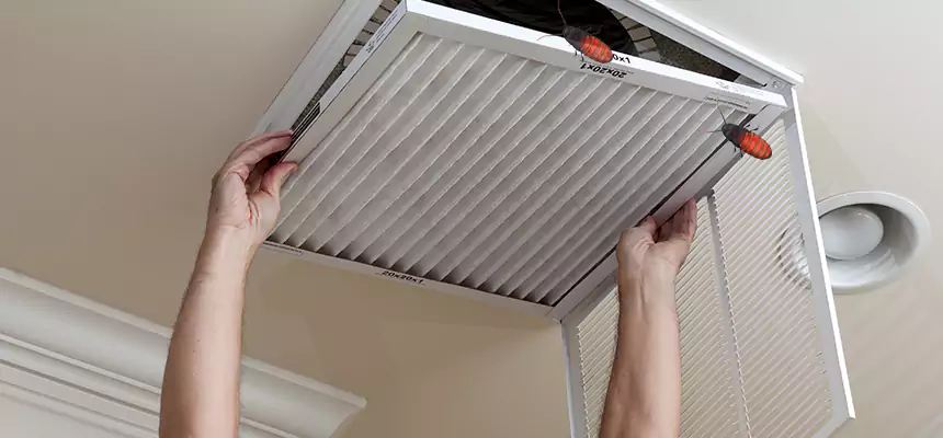 Preventive Cockroach-Proofing for Ducts in Kent