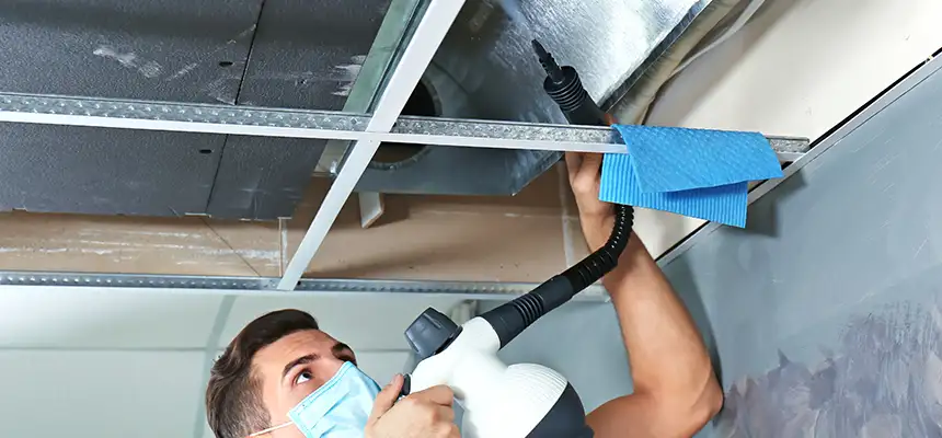 Our Air Duct Rodent Removal Services in Kent, WA