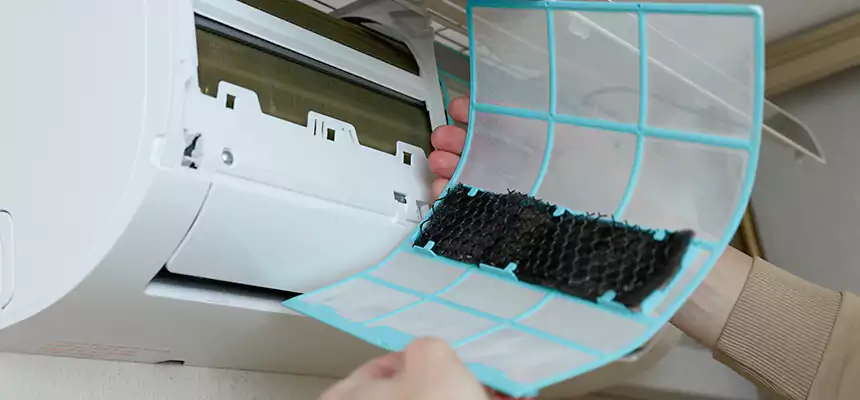 Gentle Ductwork Odor-Control Pet Dander Duct Cleaning in Kent, WA