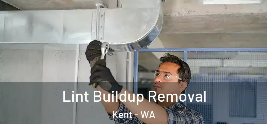 Lint Buildup Removal Kent - WA