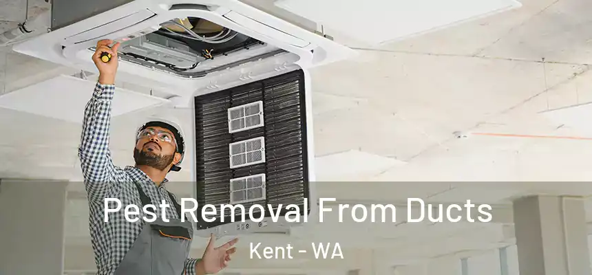 Pest Removal From Ducts Kent - WA