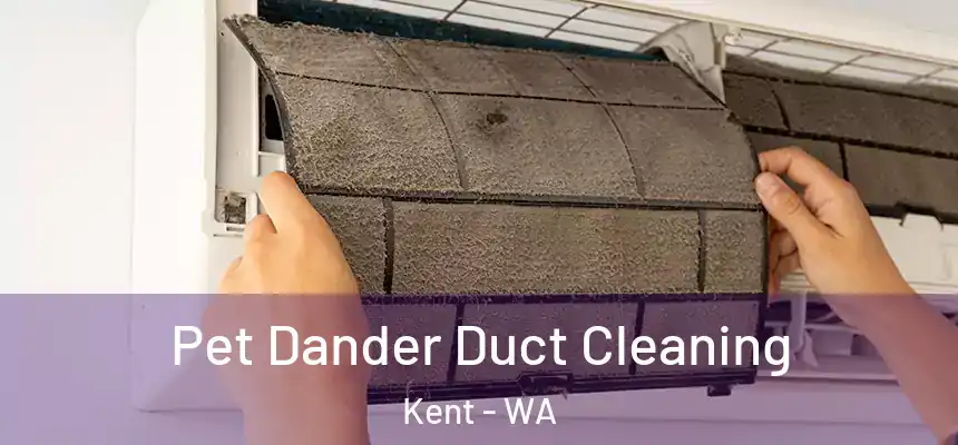 Pet Dander Duct Cleaning Kent - WA
