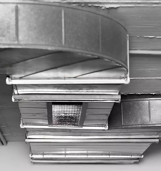 Professional Air Duct Pet Hair Removal in Kent, WA