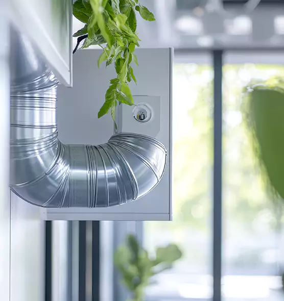 Professional Eco-Safe Dryer Vent Cleaning in Kent, WA