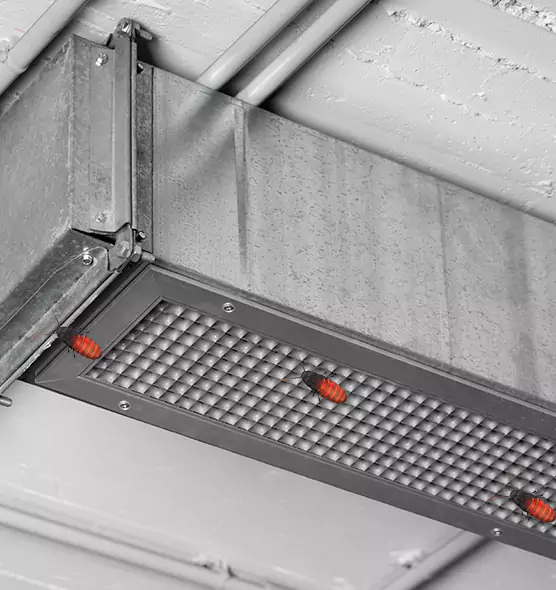 Affordable Insect Removal from Air Ducts in Kent, WA
