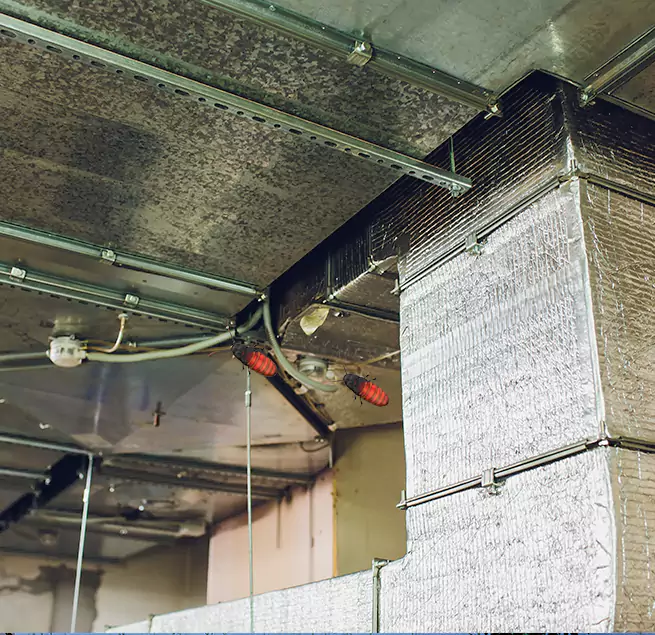 Why Homeowners & Businesses Trust Us Kent, WA?