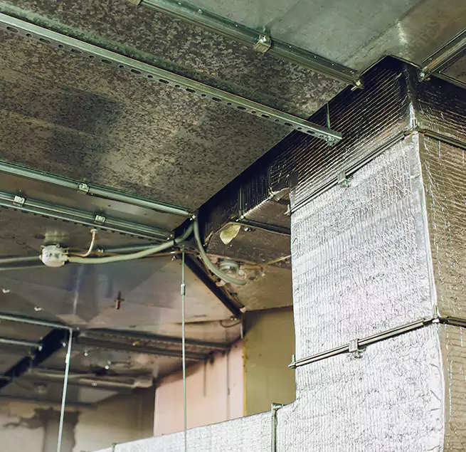 Why Homeowners & Businesses Trust Us in Kent, WA?